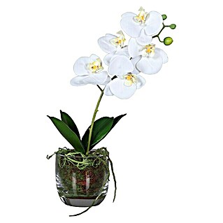 Kunstblume Orchidee (Weiß, 42 cm)