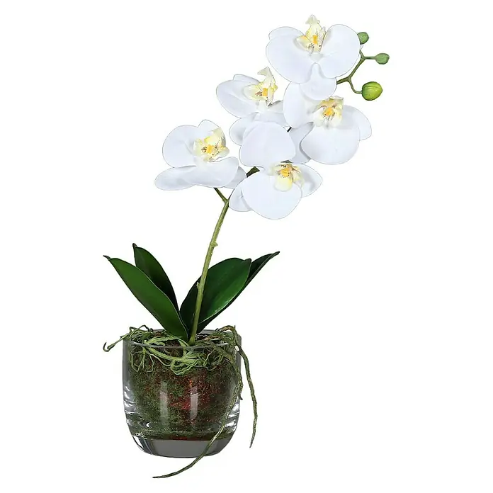 Kunstblume Orchidee - Weiß, 42 cm - Elegante künstliche Orchidee in einem klaren Glasgefäß, ideal für eine stilvolle Dekoration im Innenbereich. Die weißen Blüten strahlen eine zeitlose Schönheit aus.