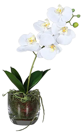 Kunstblume Orchidee - Wei, 42 cm online kaufen bei BAUHAUS