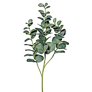 Kunstblume Eukalypthuszweig (Höhe: 92 cm, Kunststoff)