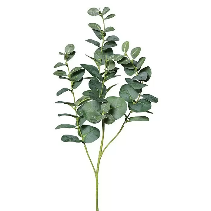 Kunstpflanze EukalypthuszweigHöhe: 92 cm, Kunststoff