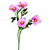 Kunstblume Cosmea 