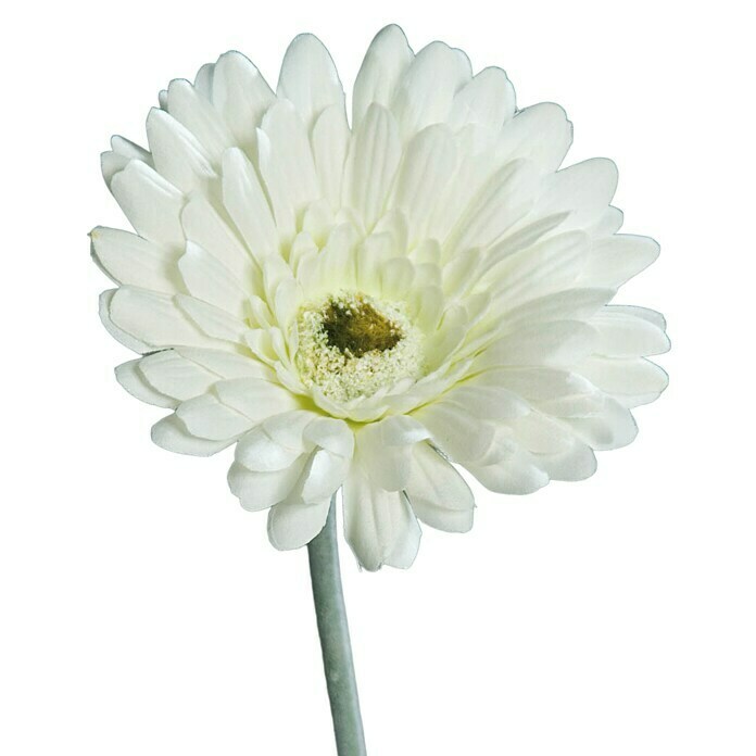 Kunstblume Gerbera (Creme, 56 cm) | BAUHAUS