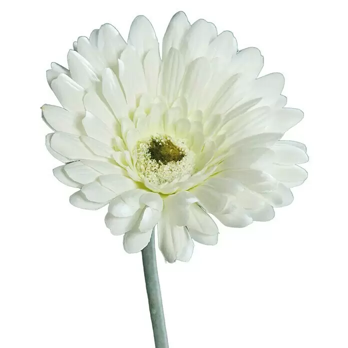 Kunstblume Gerbera - Creme, 56 cm - Detailaufnahme