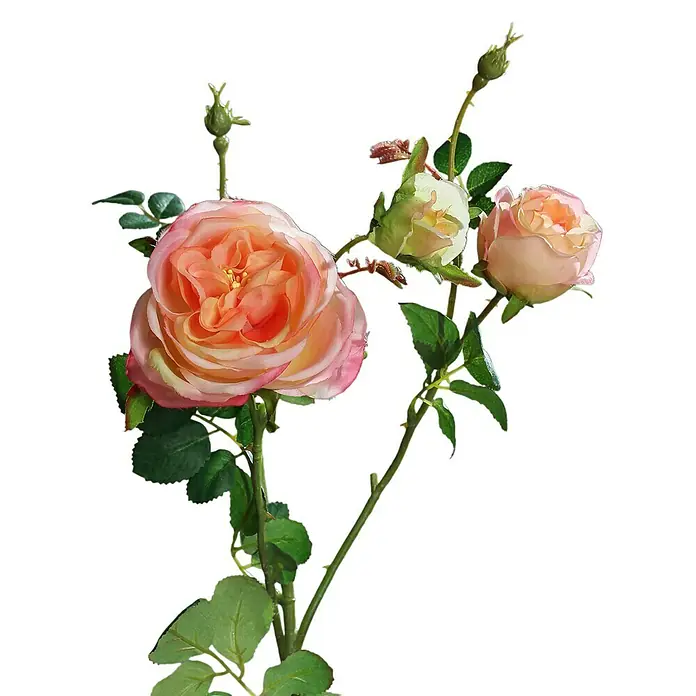 Kunstblume Rose - Pink, 60 cm - Zarte Pfirsichrosenblüten mit grünen Blättern und Knospen vor schwarzem Hintergrund, die die Schönheit der Natur einfangen.