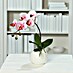 Kunstblume Orchidee 