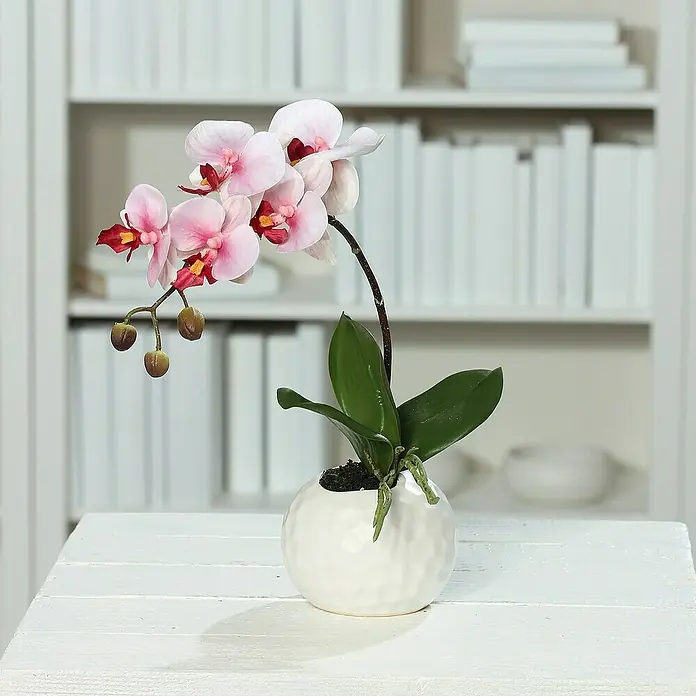 Kunstblume Orchidee - Pink, 33 cm - Ein dekoratives Arrangement mit einer zarten rosa Orchidee in einem weißen, runden Topf auf einem weißen Tisch vor einem Bücherregal.