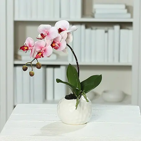 Kunstblume Orchidee