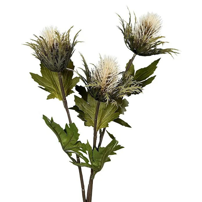 Kunstblume Distel - Creme, 68 cm - Detailaufnahme eines dekorativen Distelzweigs, ideal für florale Arrangements und dauerhafte Dekorationen.