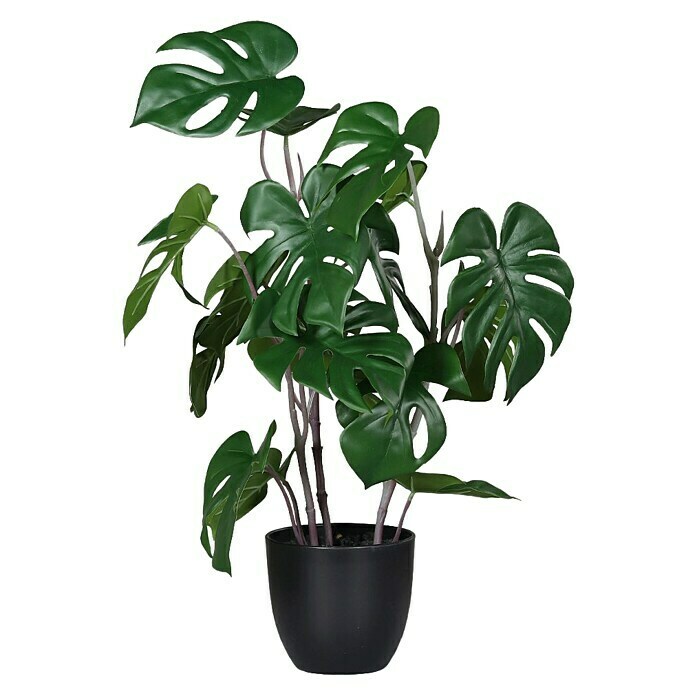 Kunstpflanze Monstera - Hhe: 53 cm, Kunststoff online kaufen bei BAUHAUS