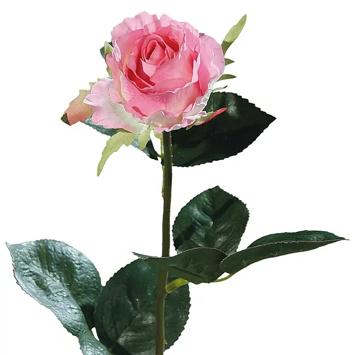 Kunstblume Kolumbianische Rose - Rosa, 43 cm - Nahaufnahme einer einzelnen, eleganten, pinkfarbenen Rose mit grünen Blättern vor einem neutralen, schwarzen Hintergrund.