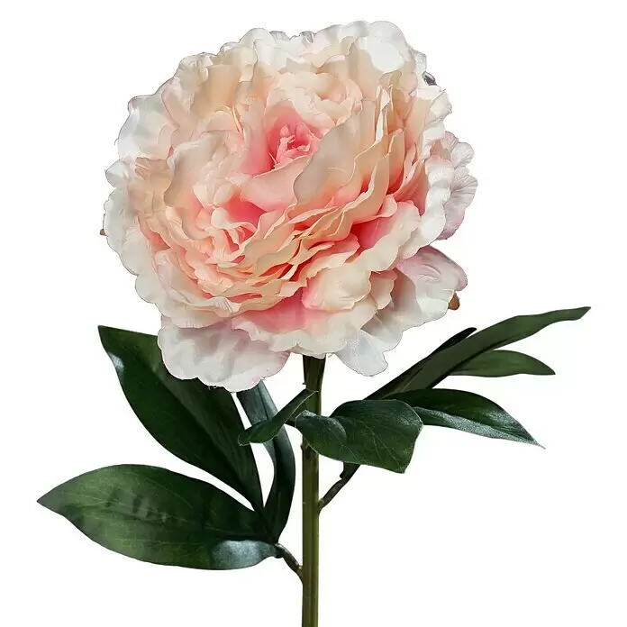 Kunstblume Päonie - 63 cm, Pink, Kunststoff - Dekorative Pfingstrose, hellrosa Blütenblätter, grüner Stiel und Blätter.