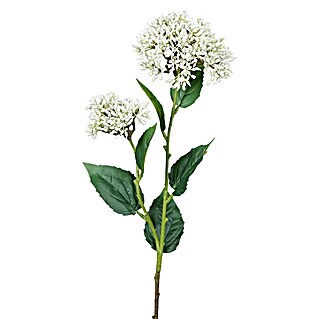 Kunstblume Bowardie (Creme, 66 cm)