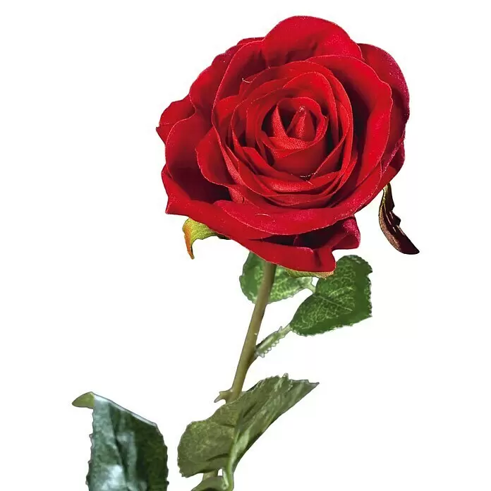 Kunstblume Velvet RoseRot, 61 cm