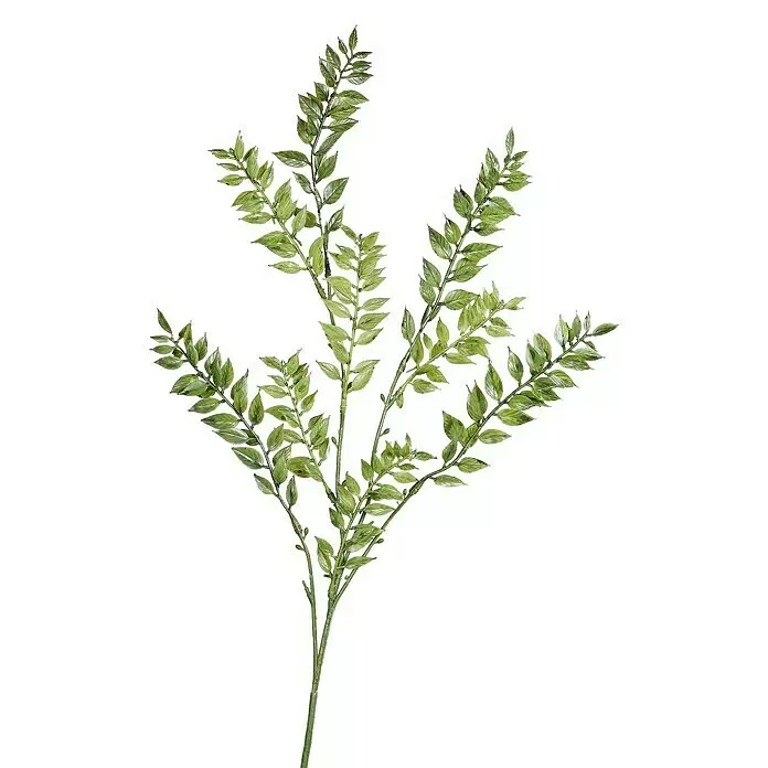 Kunstpflanze Ruscus Zweig - Höhe: 70 cm, Kunststoff - Grüner belaubter Pflanzenzweig mit mehreren kleineren Stängeln.