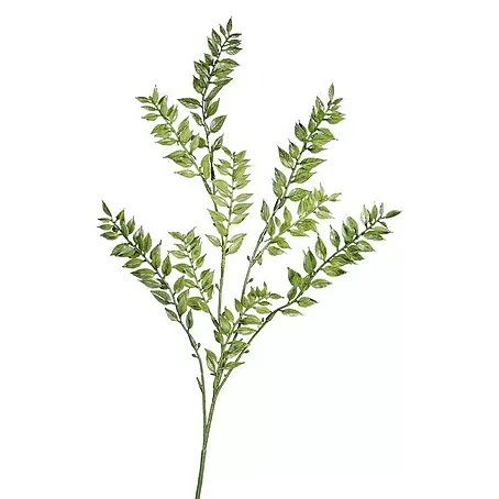 Kunstpflanze Ruscus Zweig