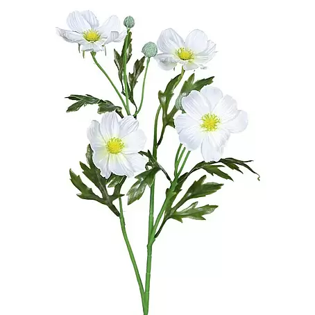 Kunstblume Cosmea