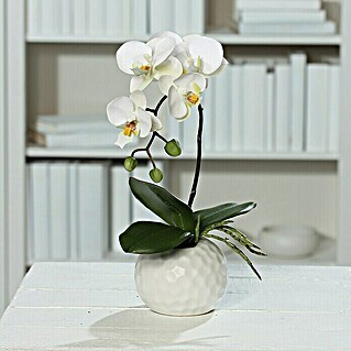 Kunstblume Orchidee (Weiß, 33 cm)