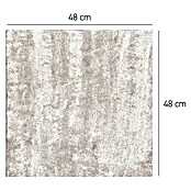 Terrassenplatte Ellenica (48 x 48 x 3,2 cm, Pietra Luna, Beton) | BAUHAUS