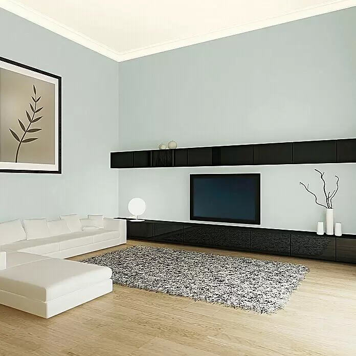 swingcolor Soft Colors Wandfarbe - Aloe, Matt, 10 l online kaufen bei  BAUHAUS