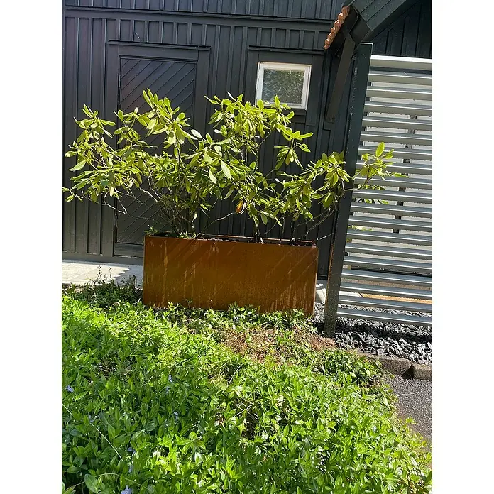 Recal Pflanzkübel eckig - Außenmaß (L x B x H): 120 x 40 x 50 cm, Metall, Braun - Außenaufnahme eines Pflanzgefäßes aus Cortenstahl mit üppiger Bepflanzung vor einer dunklen Fassade, das eine rustikale und moderne Note vereint.