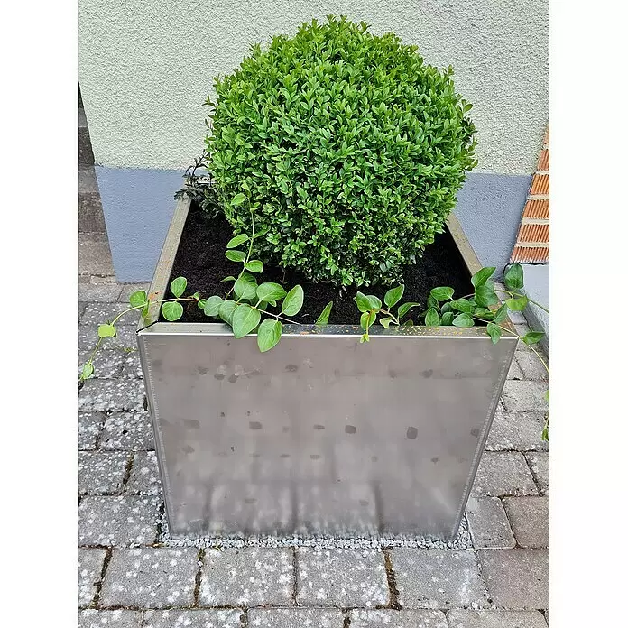 Recal Pflanzkübel eckig - Außenmaß (L x B x H): 57 x 57 x 57 cm, Metall, Braun - Quadratischer Metallpflanzkübel mit grünem Busch und Efeu.