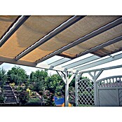 Gardendreams Sonnensegel (600 x 250 cm, Gelb/Weiß, Passend für: Gardendreams Terrassenüberdachungen Special Edition Verbundsicherheitsglas (VSG)) | BAUHAUS