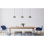 Globo Visilica Maxy  (Broj žarulja: 1 Kom., 40 W, Ø x V: 24 x 120 cm, E27) | BAUHAUS