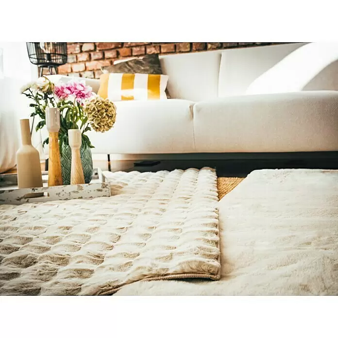 Hochflorteppich Harmony - Beige, 230 x 160 cm, 100 % Polyester (Flor) - Stimmungsaufnahme