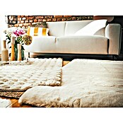 Alfombra de pelo largo Harmony (Beige, 170 x 120 cm, 100% Poliéster) | BAUHAUS