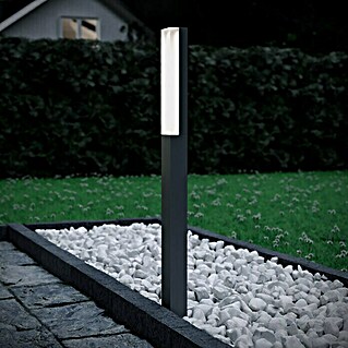 Starlux LED-Sockelleuchte Laholm (L x B x H: 7 x 5,2 x 90 cm, Dunkelgrau, 8 W)