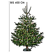 Krinner Christbaumständer Ultra Grip XXL (Max. Baumlänge: 4 m, Max. Stammdurchmesser: 17 cm, Fassungsvermögen Wassertank: 11 l, Rundum-Einseil-Technik) | BAUHAUS