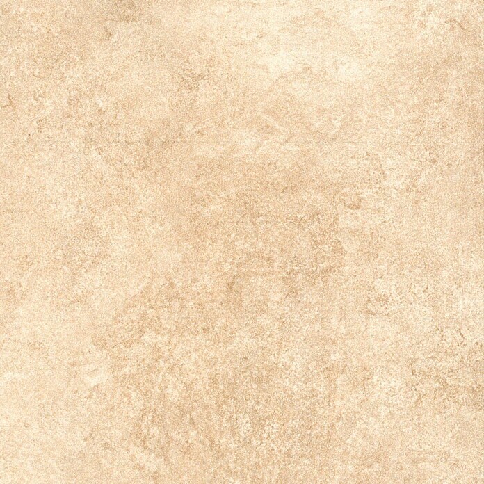 Plakplint Tegel Beige (l x b x h: 240 x 2,4 x 0,5 cm) | BAUHAUS