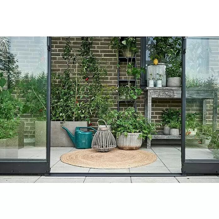 Halls Qube Gewächshaus Lean-to 612 - Außenmaß inkl. Dachüberstand (B x T): 374 x 188 cm, Material Seitenwand: Glas, 3 mm, Schwarz - Terrassengarten mit Betonkübeln, Pflanzen und Tomaten. Eine türkise Gießkanne und runder Naturfaserteppich auf gepflastertem Boden.