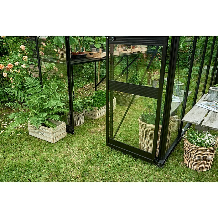 Halls Gewächshaus Burford 610 (Außenmaß inkl. Dachüberstand (B x T): 194 x 318 cm, Material Seitenwand: Glas, 3 mm, Schwarz) | BAUHAUS