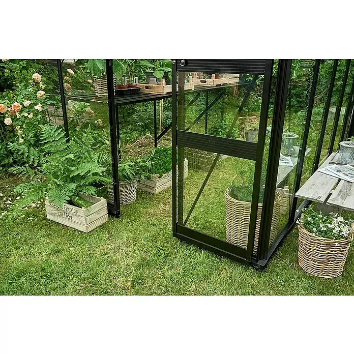 Halls Gewächshaus Burford 610 - Außenmaß inkl. Dachüberstand (B x T): 194 x 318 cm, Material Seitenwand: Glas, 3 mm, Schwarz - Schwarzes Gewächshaus mit Glaspaneelen und Innenregalen, gefüllt mit Pflanzen in einem Garten.