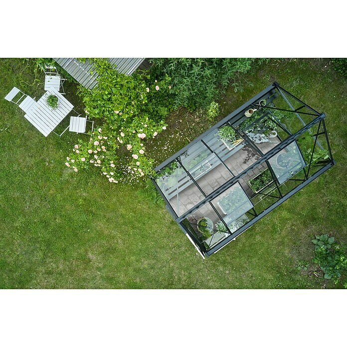 Halls Gewächshaus Burford 610 (Außenmaß inkl. Dachüberstand (B x T): 194 x 318 cm, Material Seitenwand: Glas, 3 mm, Schwarz) | BAUHAUS