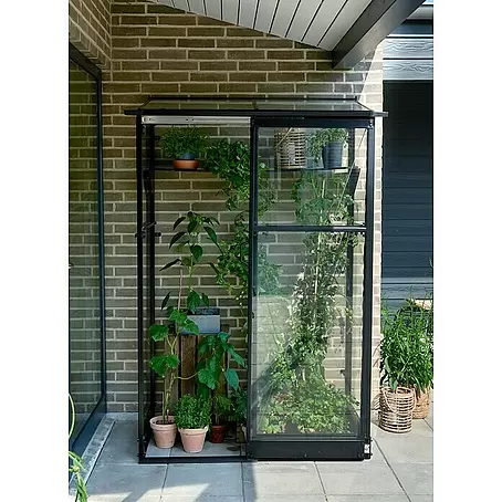 Halls  Gewächshaus Qube Lean-to 24