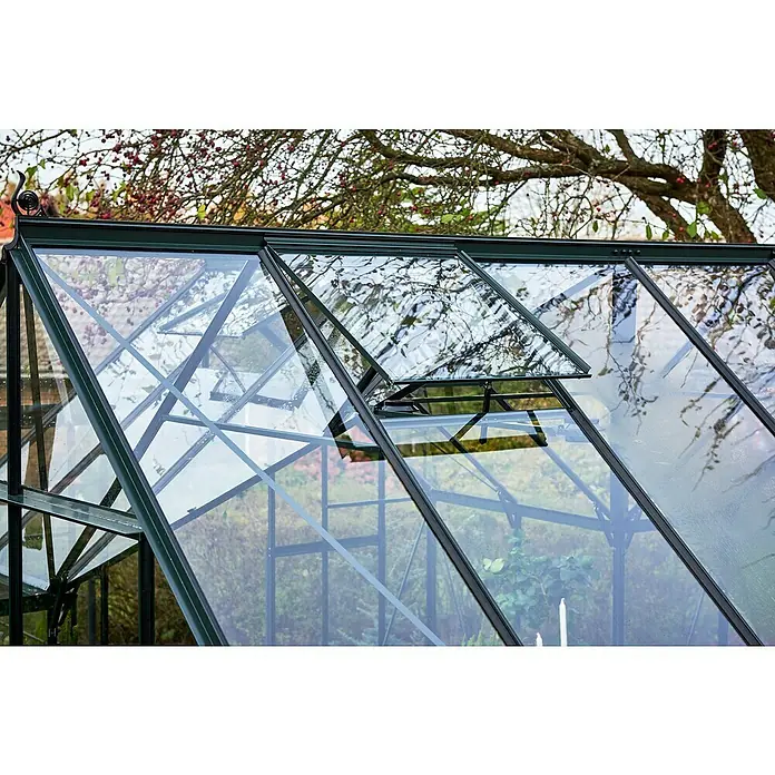 Halls Gewächshaus Garden Room - Außenmaß inkl. Dachüberstand (B x T): 390 x 389 cm, Material Seitenwand: Glas, 3 mm, Schwarz - Detailaufnahme eines Gewächshauses mit geöffnetem Fenster, das die robuste Bauweise und das klare Design hervorhebt.