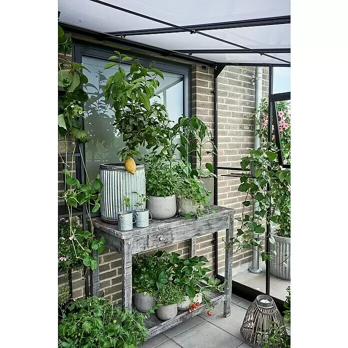 Halls Qube Gewächshaus Lean-to 612 - Außenmaß inkl. Dachüberstand (B x T): 374 x 188 cm, Material Seitenwand: Glas, 3 mm, Schwarz - Schwarz umrandetes Gewächshaussystem mit lichtdurchlässigem Dach und Wänden, das einen Innengartenraum für Pflanzen schafft.