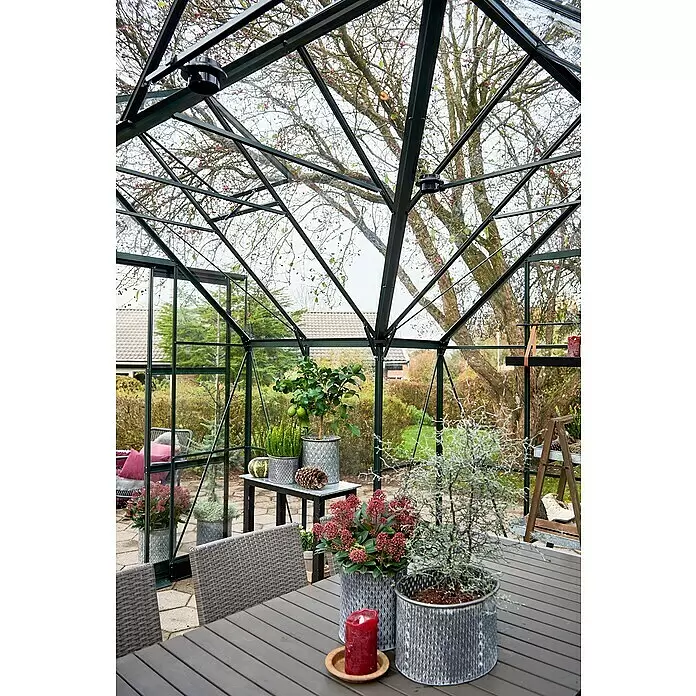 Halls Gewächshaus Garden Room - Außenmaß inkl. Dachüberstand (B x T): 390 x 389 cm, Material Seitenwand: Glas, 3 mm, Grün - Dunkelgerahmtes Glasgewächshaus, als Gartensitzplatz mit verschiedenen Pflanzen eingerichtet.
