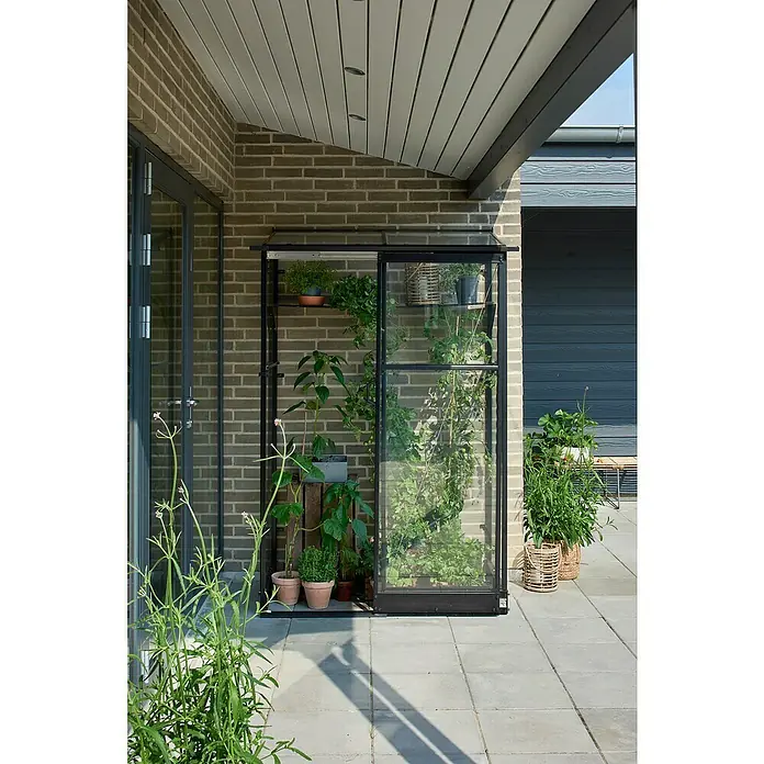 Halls Gewächshaus Qube Lean-to 24 - Außenmaß inkl. Dachüberstand (B x T): 127 x 65 cm, Material Seitenwand: Glas, 3 mm, Schwarz - Ein kleines Gewächshaus mit Pflanzen auf einer Terrasse, an einer Ziegelwand und unter einem Dachvorsprung gelegen.