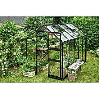 Halls Gewächshaus Burford 610 (Außenmaß inkl. Dachüberstand (B x T): 194 x 318 cm, Material Seitenwand: Glas, 3 mm, Schwarz)