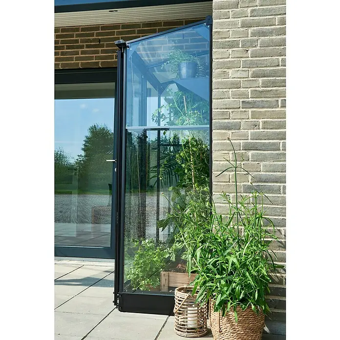 Halls Gewächshaus Qube Lean-to 24 - Außenmaß inkl. Dachüberstand (B x T): 127 x 65 cm, Material Seitenwand: Glas, 3 mm, Schwarz - Gewächshaus mit geöffneter Tür, Pflanzen in Töpfen und Holzkisten. Das Glashaus bietet Platz für die Aufzucht und Kultivierung verschiedener Pflanzen.