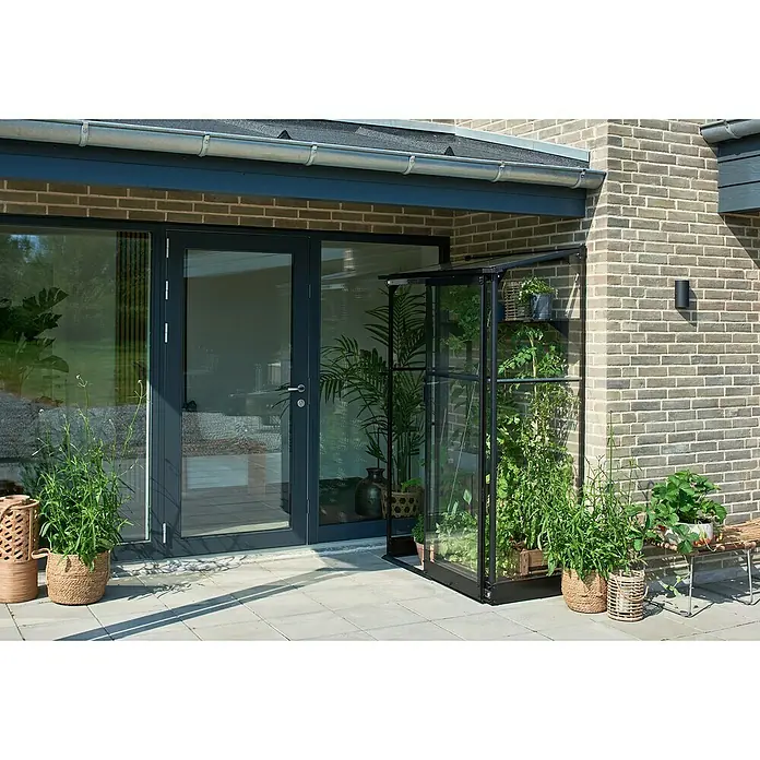 Halls Gewächshaus Qube Lean-to 24 - Außenmaß inkl. Dachüberstand (B x T): 127 x 65 cm, Material Seitenwand: Glas, 3 mm, Schwarz - Nahaufnahme eines kleinen Gewächshauses mit Pflanzen vor einem Haus mit Ziegelmauer und Glastüren. Die Pflanzen gedeihen.
