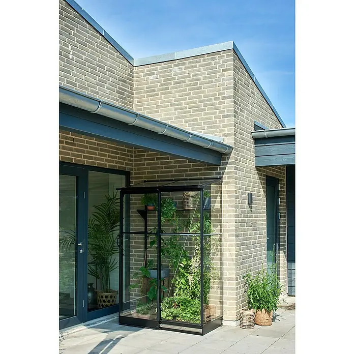 Halls Gewächshaus Qube Lean-to 24 - Außenmaß inkl. Dachüberstand (B x T): 127 x 65 cm, Material Seitenwand: Glas, 3 mm, Schwarz - Ein modernes Gewächshaus aus Glas und schwarzem Metall, gefüllt mit verschiedenen Pflanzen, steht an einer Backsteinmauer. Das Gewächshaus ist ein Blickfang.
