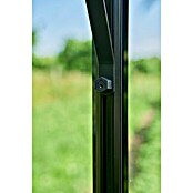 Halls Gewächshaus Burford 610 (Außenmaß inkl. Dachüberstand (B x T): 194 x 318 cm, Material Seitenwand: Glas, 3 mm, Schwarz) | BAUHAUS