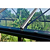 Halls Gewächshaus Burford 610 (Außenmaß inkl. Dachüberstand (B x T): 194 x 318 cm, Material Seitenwand: Glas, 3 mm, Schwarz) | BAUHAUS