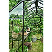 Halls Gewächshaus Burford 610 (Außenmaß inkl. Dachüberstand (B x T): 194 x 318 cm, Material Seitenwand: Glas, 3 mm, Schwarz) | BAUHAUS