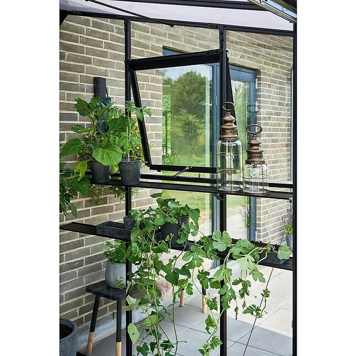 Halls Gewächshaus Qube Lean-to 24 - Außenmaß inkl. Dachüberstand (B x T): 127 x 65 cm, Material Seitenwand: Glas, 3 mm, Schwarz - Gewächshausregal mit Pflanzen und dekorativen Laternen. Das Regal ist aus schwarzem Metall gefertigt und bietet Platz für verschiedene Pflanzen.